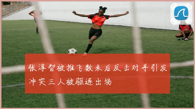 张淳智被推飞数米后反击对手引发冲突三人被驱逐出场